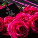 Couture box 35 trandafiri